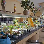 酒店 Garden 5*